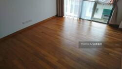 Hoover Park (D21), Terrace #313877021